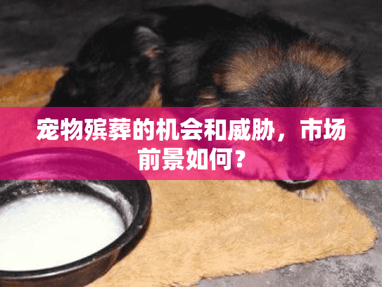 宠物殡葬的机会和威胁，市场前景如何？