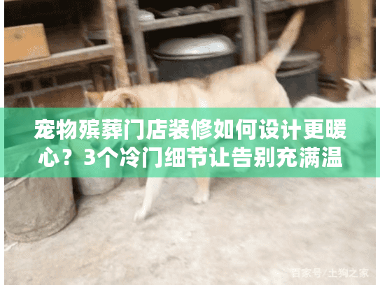 宠物殡葬门店装修如何设计更暖心？3个冷门细节让告别充满温度