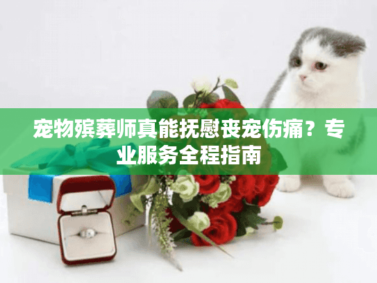 宠物殡葬师真能抚慰丧宠伤痛？专业服务全程指南
