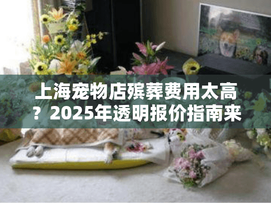 上海宠物店殡葬费用太高？2025年透明报价指南来了
