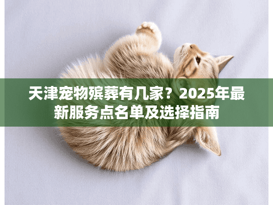 天津宠物殡葬有几家？2025年最新服务点名单及选择指南
