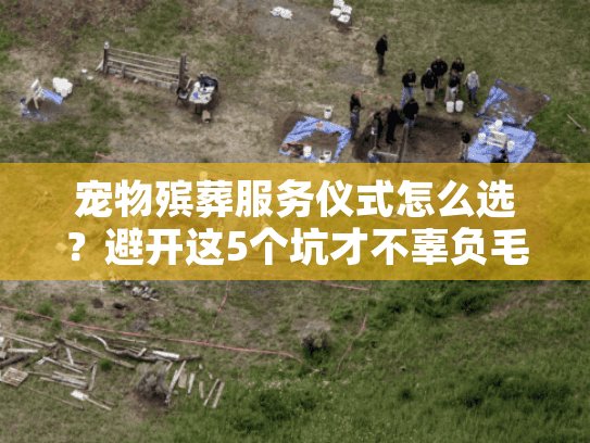 宠物殡葬服务仪式怎么选？避开这5个坑才不辜负毛孩子最后一程