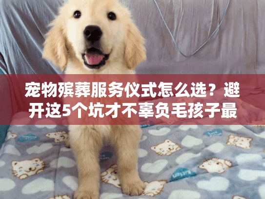 宠物殡葬服务仪式怎么选？避开这5个坑才不辜负毛孩子最后一程