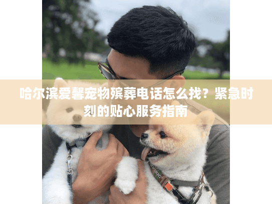 哈尔滨爱馨宠物殡葬电话怎么找？紧急时刻的贴心服务指南