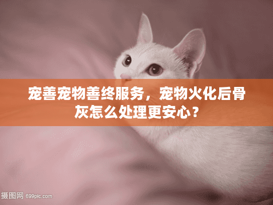 宠善宠物善终服务，宠物火化后骨灰怎么处理更安心？
