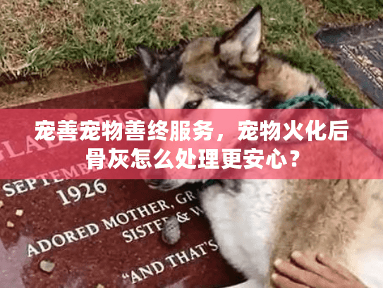 宠善宠物善终服务，宠物火化后骨灰怎么处理更安心？