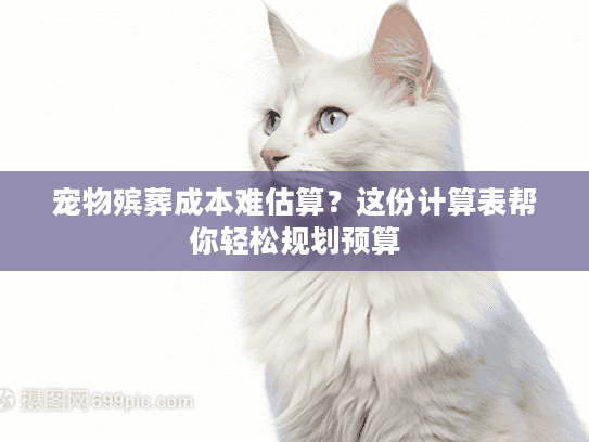 宠物殡葬成本难估算？这份计算表帮你轻松规划预算
