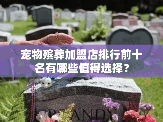 宠物殡葬加盟店排行前十名有哪些值得选择？