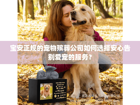 宝安正规的宠物殡葬公司如何选择安心告别爱宠的服务？