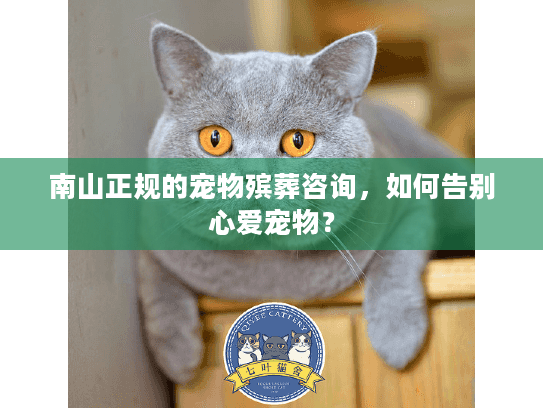 南山正规的宠物殡葬咨询，如何告别心爱宠物？