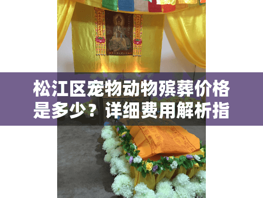 松江区宠物动物殡葬价格是多少？详细费用解析指南