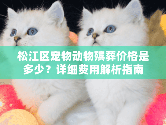 松江区宠物动物殡葬价格是多少？详细费用解析指南