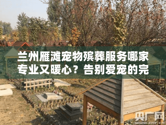 兰州雁滩宠物殡葬服务哪家专业又暖心？告别爱宠的完整指南