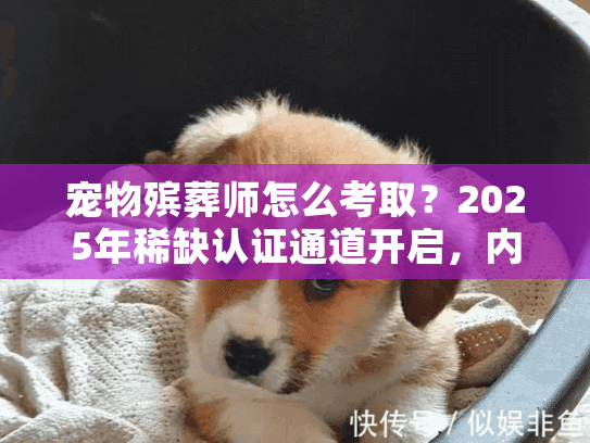 宠物殡葬师怎么考取？2025年稀缺认证通道开启，内行人教你避开90%的坑