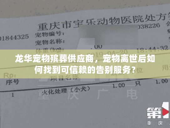 龙华宠物殡葬供应商，宠物离世后如何找到可信赖的告别服务？