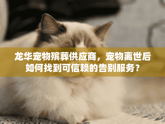 龙华宠物殡葬供应商，宠物离世后如何找到可信赖的告别服务？