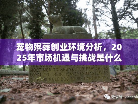 宠物殡葬创业环境分析，2025年市场机遇与挑战是什么？