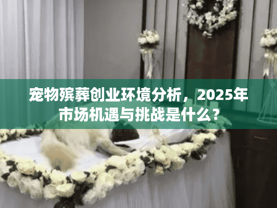宠物殡葬创业环境分析，2025年市场机遇与挑战是什么？