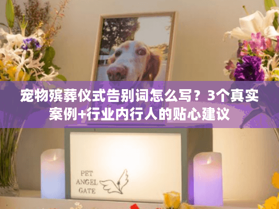 宠物殡葬仪式告别词怎么写？3个真实案例+行业内行人的贴心建议