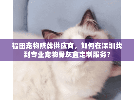 福田宠物殡葬供应商，如何在深圳找到专业宠物骨灰盒定制服务？