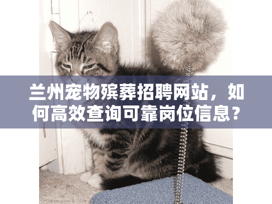 兰州宠物殡葬招聘网站，如何高效查询可靠岗位信息？