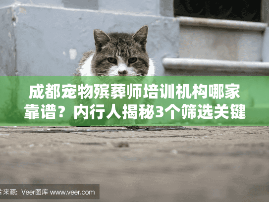 成都宠物殡葬师培训机构哪家靠谱？内行人揭秘3个筛选关键