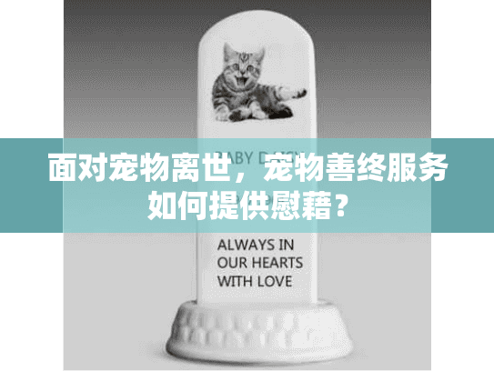 面对宠物离世，宠物善终服务如何提供慰藉？
