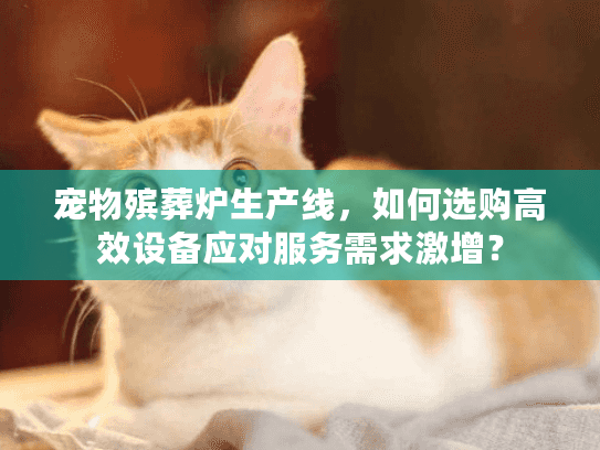 宠物殡葬炉生产线，如何选购高效设备应对服务需求激增？