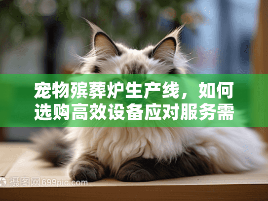 宠物殡葬炉生产线，如何选购高效设备应对服务需求激增？