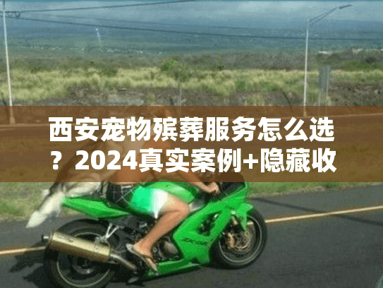 西安宠物殡葬服务怎么选？2024真实案例+隐藏收费揭秘，帮你省心