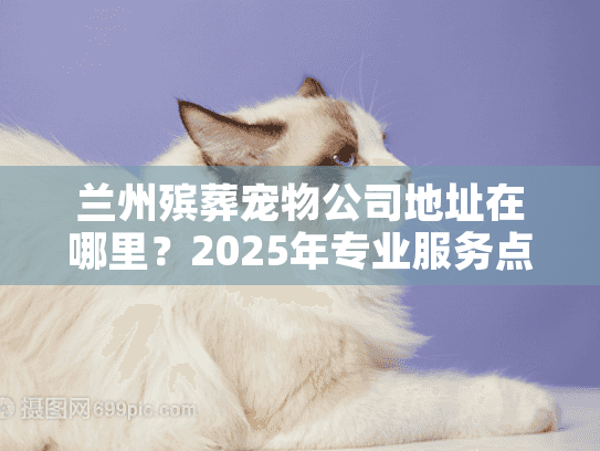 兰州殡葬宠物公司地址在哪里？2025年专业服务点全解析