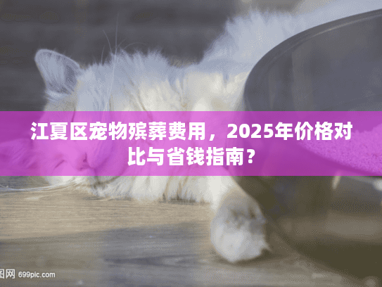江夏区宠物殡葬费用，2025年价格对比与省钱指南？