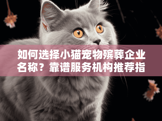 如何选择小猫宠物殡葬企业名称？靠谱服务机构推荐指南