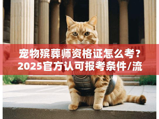 宠物殡葬师资格证怎么考？2025官方认可报考条件/流程/费用全揭秘