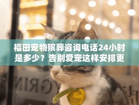 福田宠物殡葬咨询电话24小时是多少？告别爱宠这样安排更安心