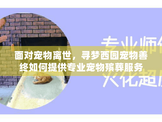 面对宠物离世，寻梦西园宠物善终如何提供专业宠物殡葬服务