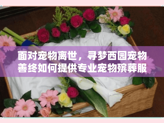 面对宠物离世，寻梦西园宠物善终如何提供专业宠物殡葬服务