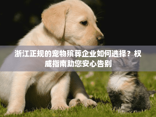 浙江正规的宠物殡葬企业如何选择？权威指南助您安心告别