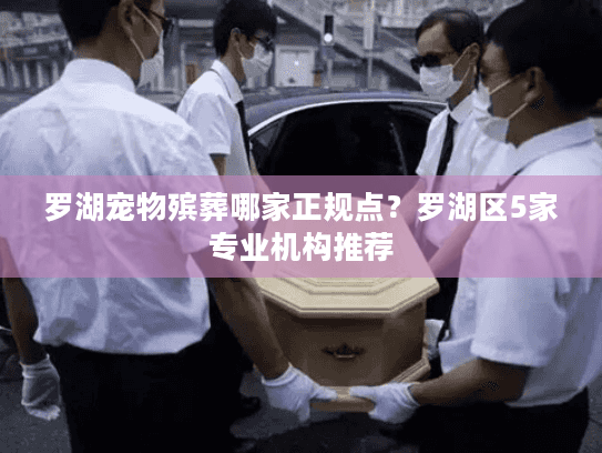 罗湖宠物殡葬哪家正规点？罗湖区5家专业机构推荐