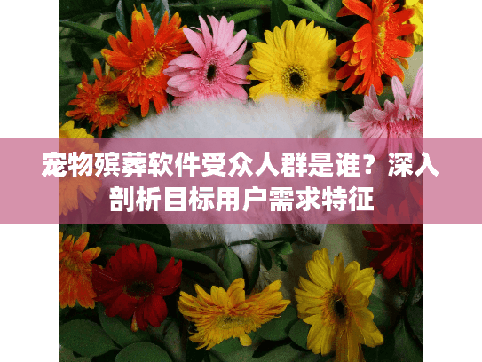 宠物殡葬软件受众人群是谁？深入剖析目标用户需求特征