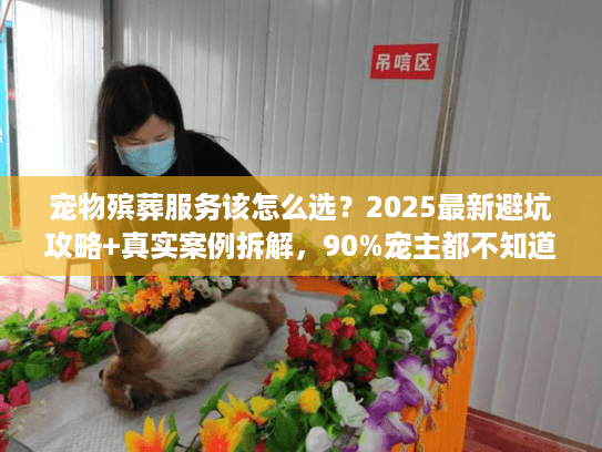 宠物殡葬服务该怎么选？2025最新避坑攻略+真实案例拆解，90%宠主都不知道！