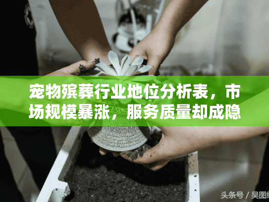 宠物殡葬行业地位分析表，市场规模暴涨，服务质量却成隐患？
