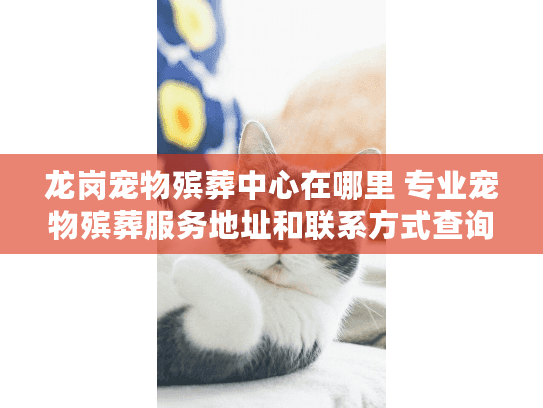 龙岗宠物殡葬中心在哪里 专业宠物殡葬服务地址和联系方式查询
