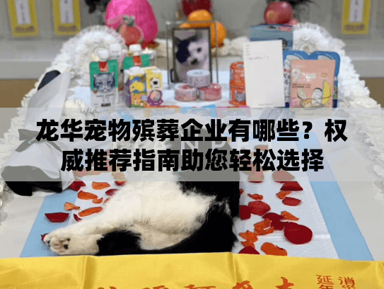 龙华宠物殡葬企业有哪些？权威推荐指南助您轻松选择