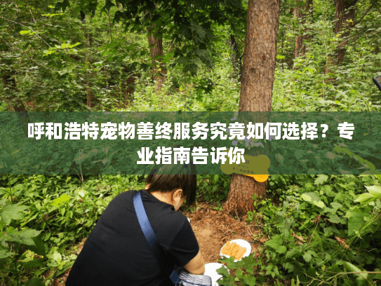 呼和浩特宠物善终服务究竟如何选择？专业指南告诉你