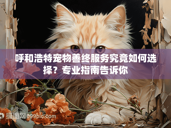 呼和浩特宠物善终服务究竟如何选择？专业指南告诉你