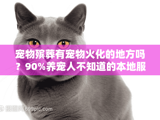 宠物殡葬有宠物火化的地方吗？90%养宠人不知道的本地服务点+避坑技巧