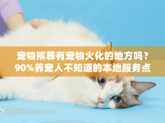 宠物殡葬有宠物火化的地方吗？90%养宠人不知道的本地服务点+避坑技巧