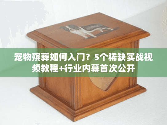 宠物殡葬如何入门？5个稀缺实战视频教程+行业内幕首次公开