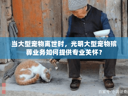 当大型宠物离世时，光明大型宠物殡葬业务如何提供专业关怀？